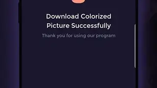 Image Colorizer screenshot