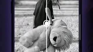 Image Colorizer screenshot