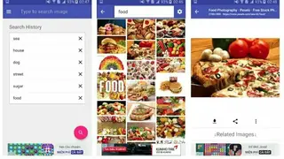 Image Downloader screenshot