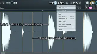 image-line.com NewTone screenshot