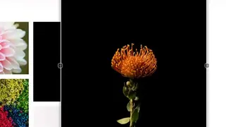 Image Max URL screenshot