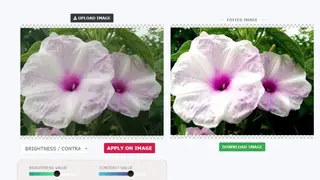 Image Online Editor screenshot