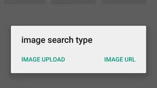 Image Search for Google screenshot