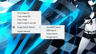 Image Search Options screenshot