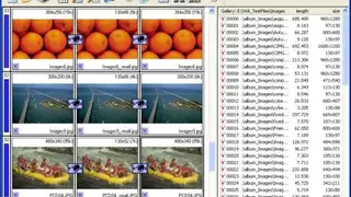 ImageDupeless screenshot