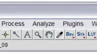 ImageJ screenshot