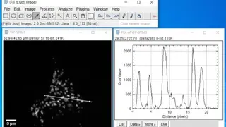 ImageJ screenshot