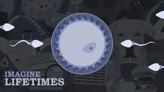 Imagine Lifetimes screenshot
