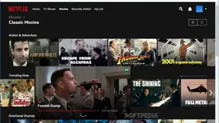 IMDb ratings on Netflix screenshot