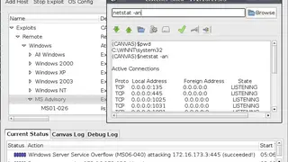 Immunity CANVAS screenshot