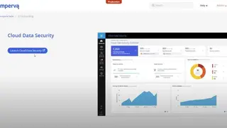 Imperva Data Security screenshot