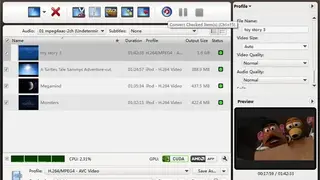 ImTOO Video Converter screenshot