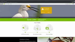 iNaturalist screenshot