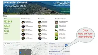iNaturalist screenshot