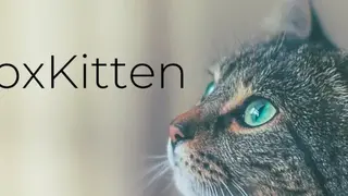 Inbox Kitten screenshot