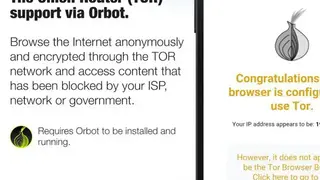 InBrowser screenshot