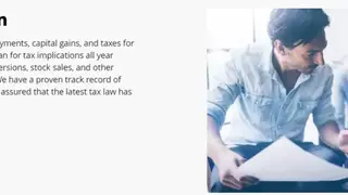 Income Tax Planner screenshot