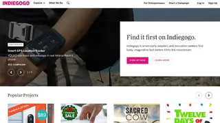 Indiegogo screenshot