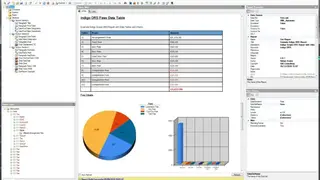 Indigo DRS Data Reporting Systems screenshot
