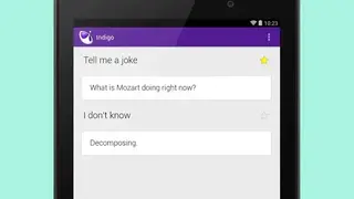Indigo Virtual Assistant screenshot