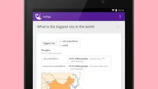 Indigo Virtual Assistant screenshot