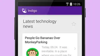 Indigo Virtual Assistant screenshot