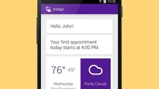 Indigo Virtual Assistant screenshot