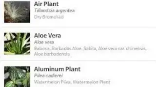 Indoor Plant Guide Pocket Edition screenshot
