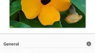 Indoor Plant Guide Pocket Edition screenshot