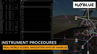 Infinite Flight screenshot