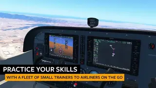 Infinite Flight – Flight Simulator screenshot
