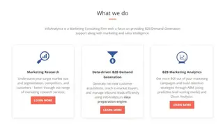 infoAnalytica, Inc. screenshot