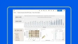 Infor Birst screenshot
