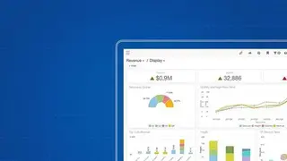 Infor Birst screenshot