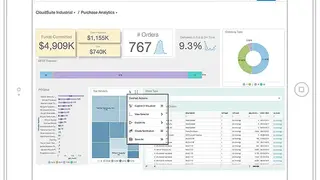 Infor Birst screenshot
