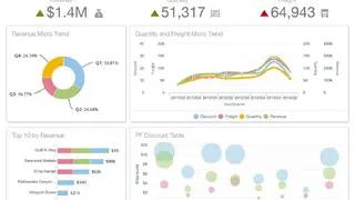 Infor Birst screenshot