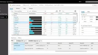 Informatica Cloud Data Quality screenshot