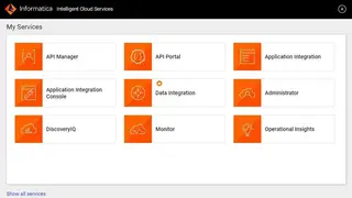 Informatica Intelligent Cloud Integration Services screenshot