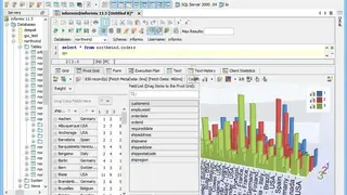 Informix database software screenshot