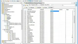 Informix database software screenshot