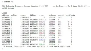 Informix Dynamic Servers screenshot