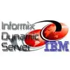 Informix Dynamic Servers