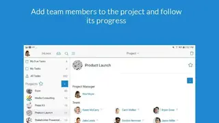 InLoox screenshot