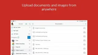 InLoox screenshot