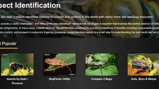Insect Identification screenshot