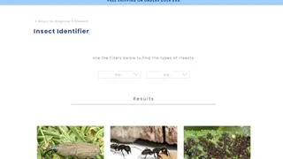 Insect Identifier screenshot