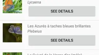 Insect Identifier screenshot