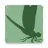 Insect Identifier