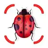 Insect identifier app