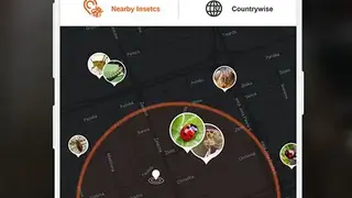 Insect identifier App by Photo, Camera 2020 screenshot